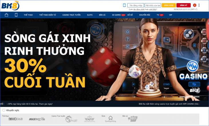 Bk8casino la gi? ho la ai? thong tin nhu the nao? - Link vao moi nhat 2024